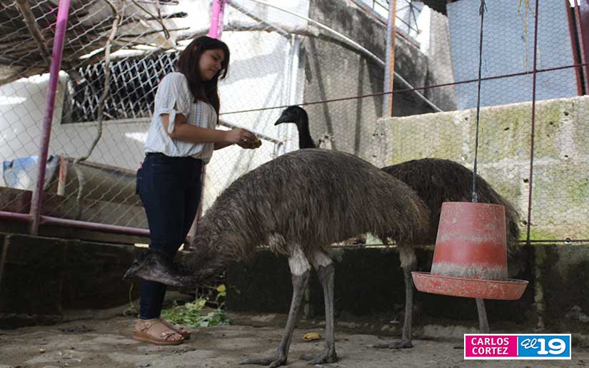 ZOO